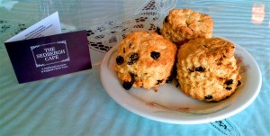 Afternoon Tea Scones